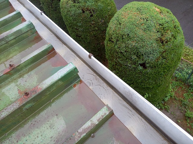 工場建物の雨樋清掃メンテナンスが完了した状況