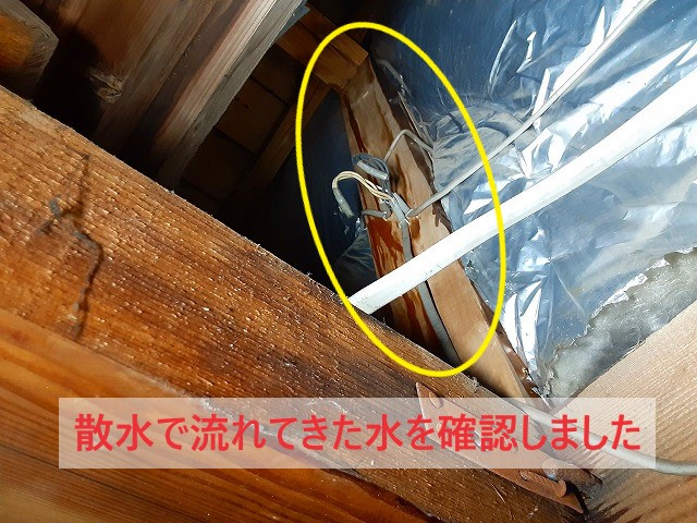 散水調査で流れてきた水を確認