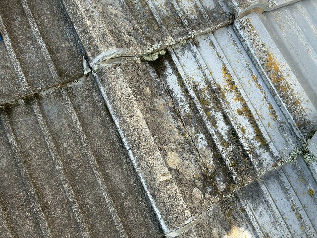 住宅の雨漏り調査でセメント瓦屋根の苔やカビを確認