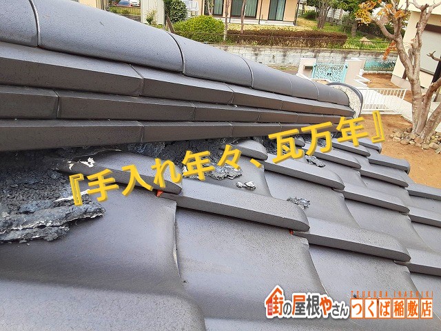 手入れ年々、瓦万年
