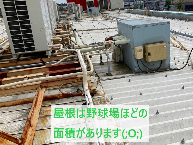 広い屋根上の折半屋根