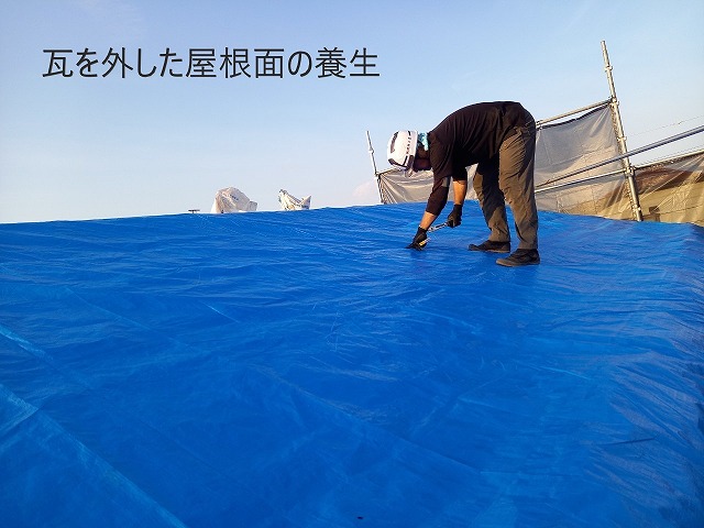 屋根の養生