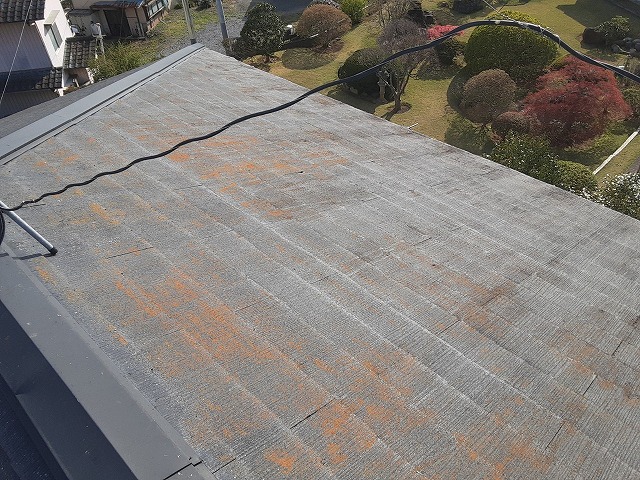 表面に多くの苔が生えて赤っぽく変色しているスレート屋根