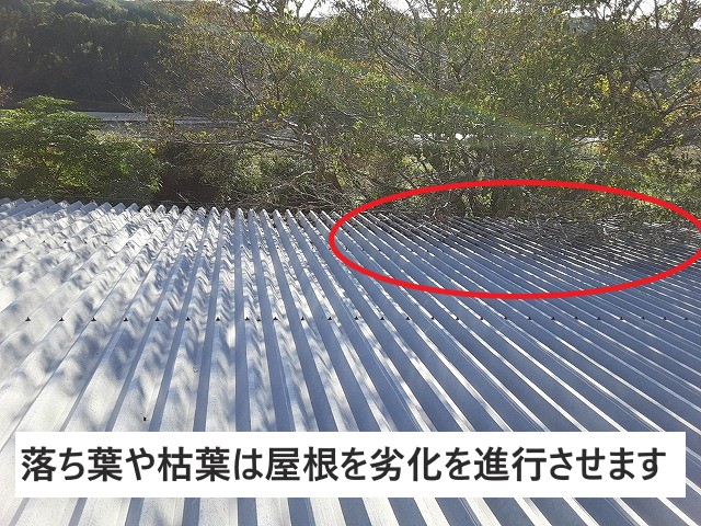 落ち葉や枯葉は屋根の劣化を進行させます