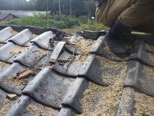 倒木によって棟の一部が崩れた状況