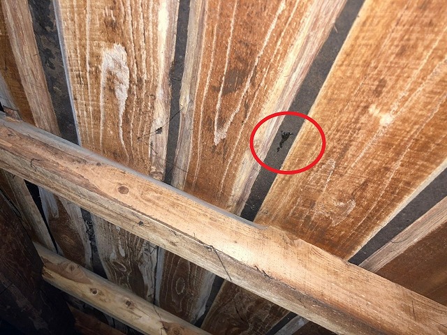 屋根裏　雨染み