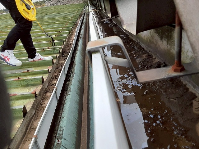 工場建物の雨樋にたまった土砂の影響で排水機能が衰えている様子