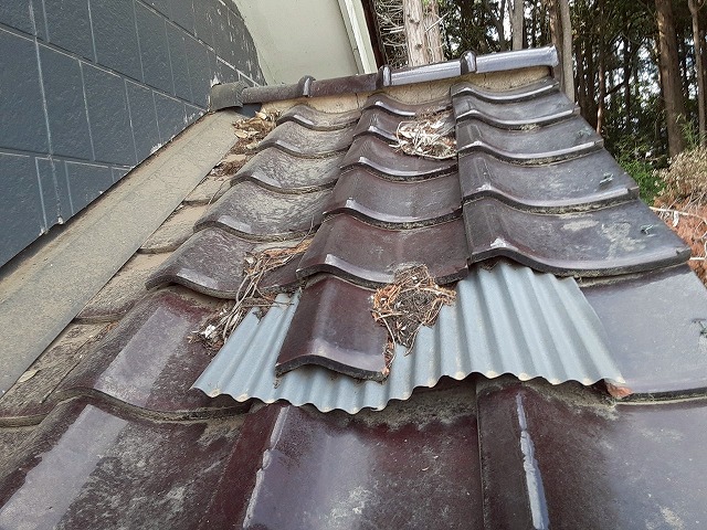 トタン波板で部分補修をしている店舗建物の屋根