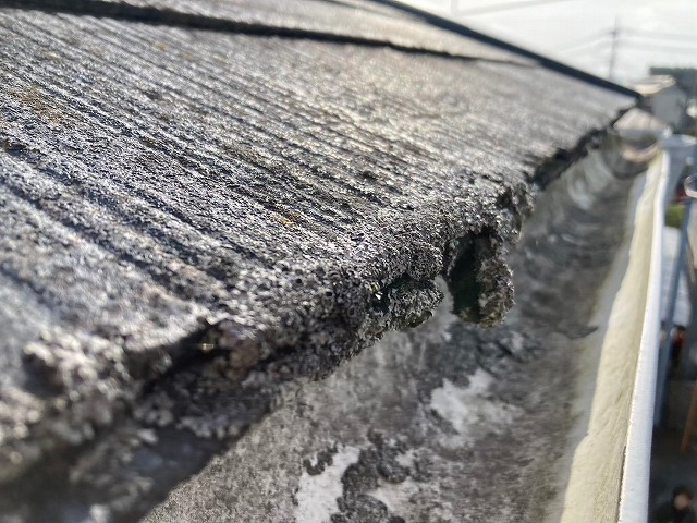 コロニアル屋根の軒先の苔が成長している様子