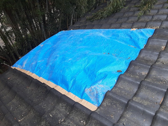 倒木によって損傷した屋根への応急処置