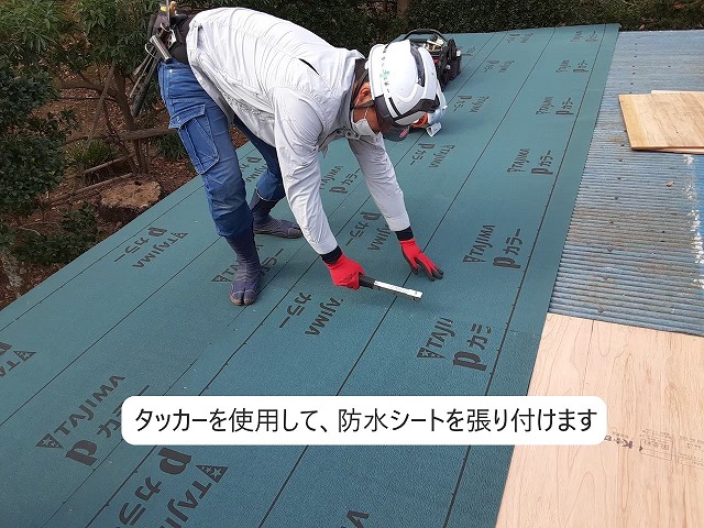 防水シートを張る