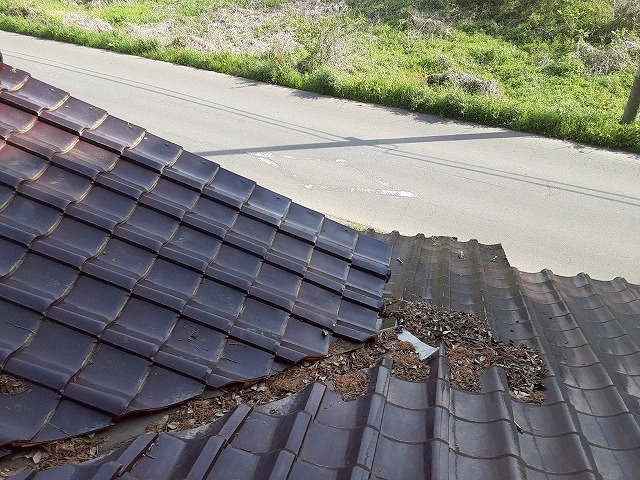 店舗建物の現場調査で谷樋に落ち葉がたまっている状況を確認