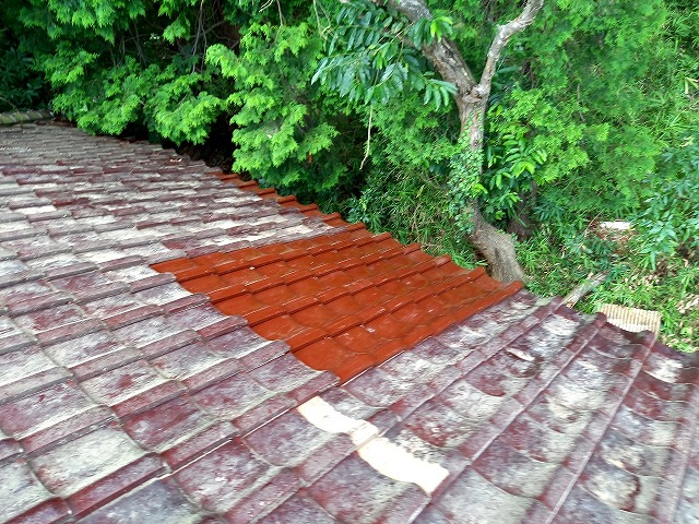 倒木で割れた瓦屋根の葺き直し修理が完成