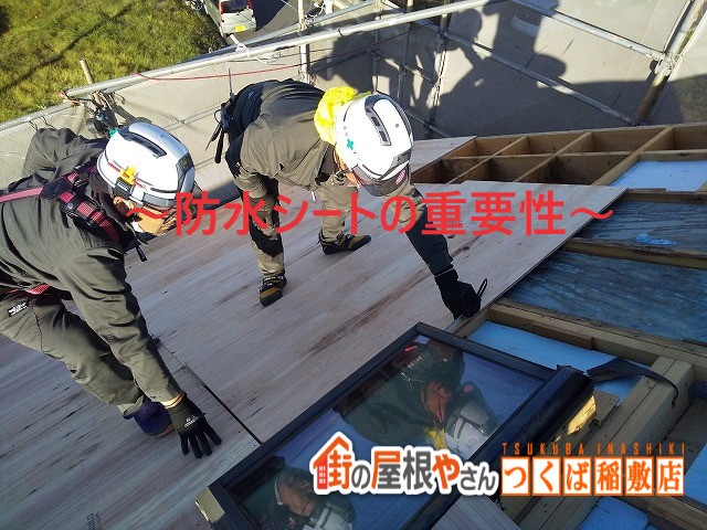 防水シートの重要性