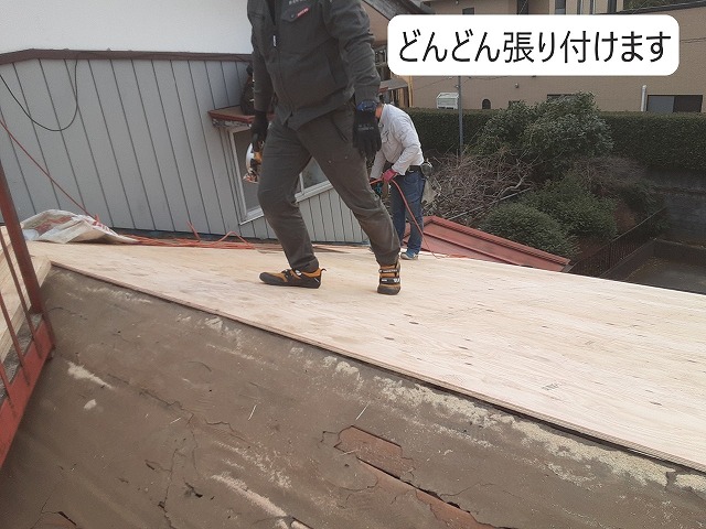 コンパネ張り　葺き替え工事