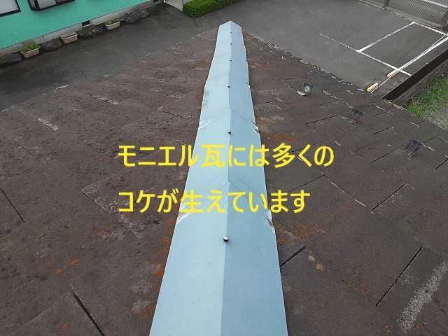 コケが生えたモニエル瓦