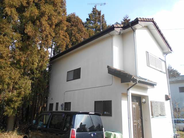 雨樋(枯葉除けネット工事）