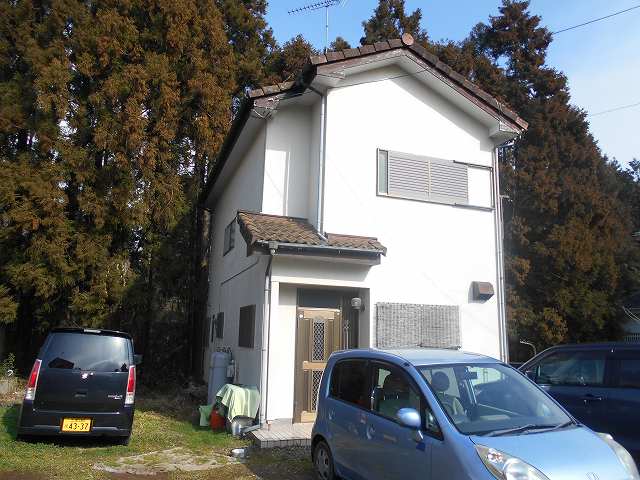 雨樋(枯葉除けネット工事）