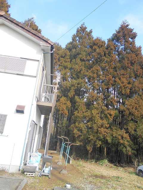 雨樋(枯葉除けネット工事）