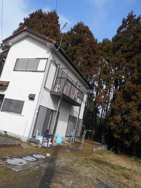 雨樋(枯葉除けネット工事）