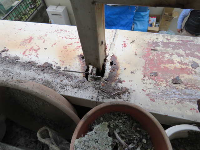 あまもりこうじ1