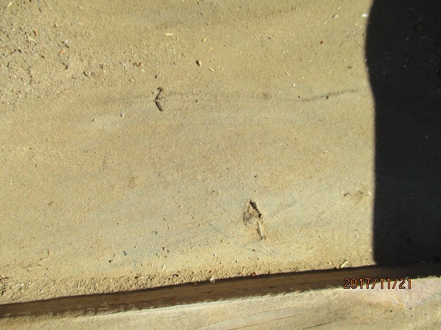 ルーフィング被害