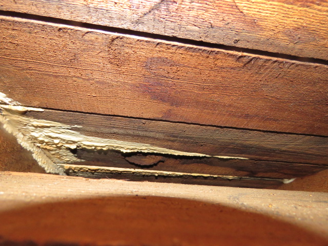 天井の張替工事