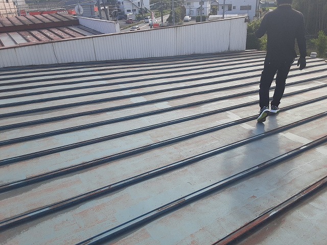 雨漏り現場調査