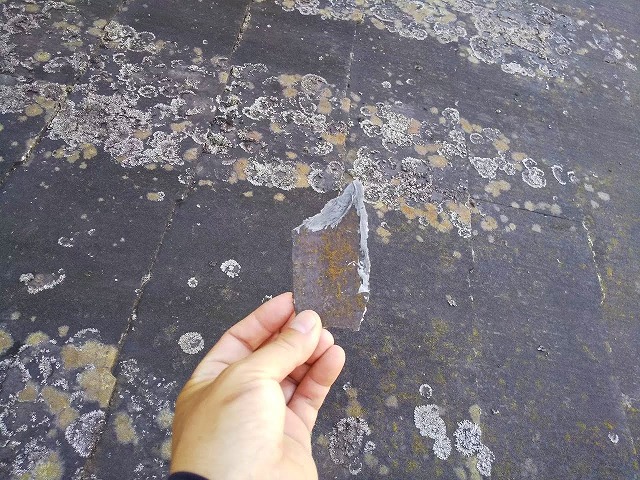 剥がれ落ちたコロニアルNEO