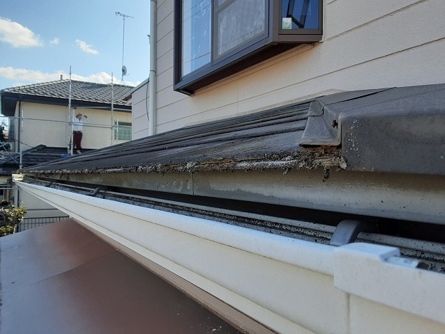 苔の生えたコロニアル屋根