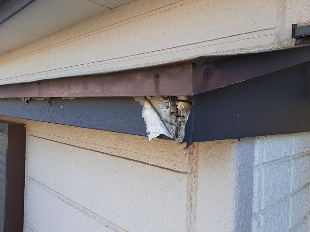 庇屋根の垂木の腐食