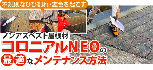 コロニアルNEOメンテナンス方法