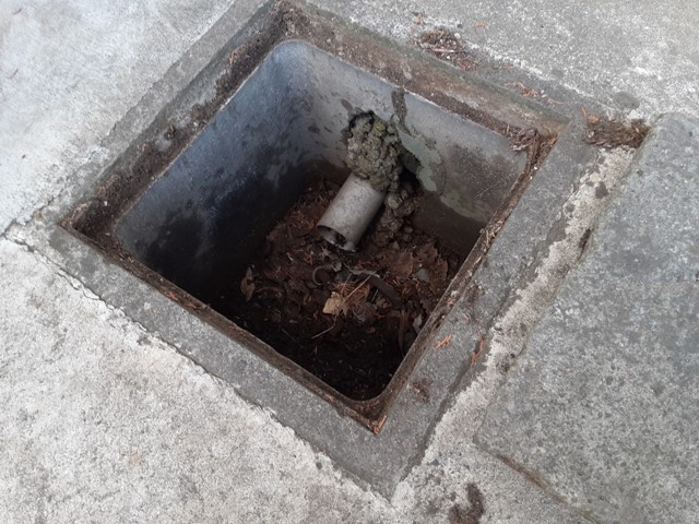 雨どいに繫がっている排水には雨どいのゴミが大量に