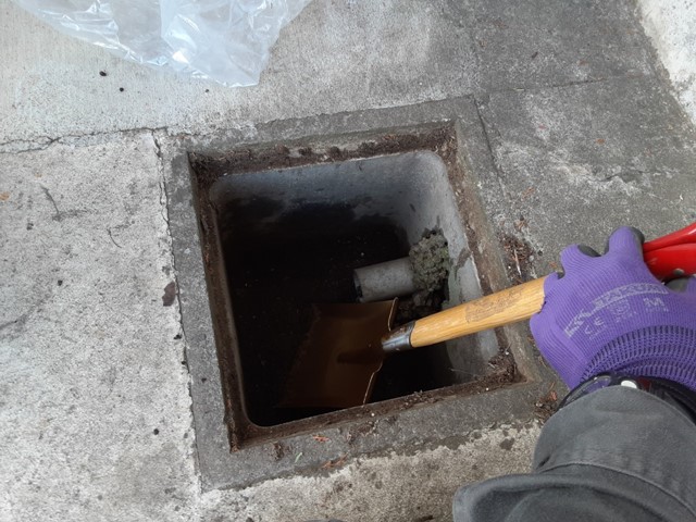 スコップを使用して清掃を行っていきます