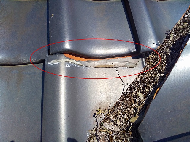 屋根瓦のずれ込み 雨樋清掃