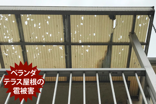 波板のひょう被害例