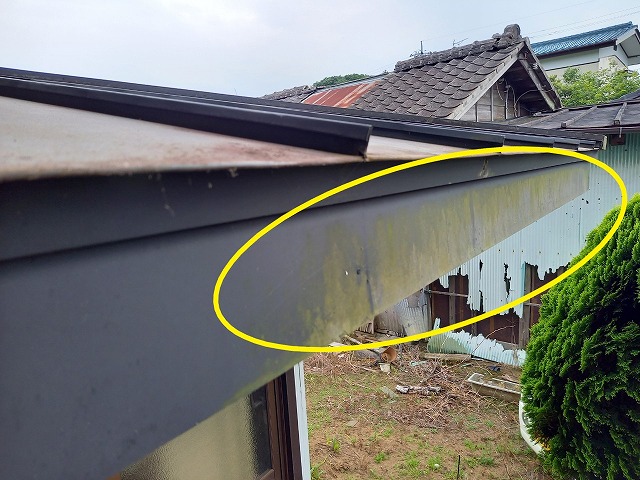 板金破風の青コケ