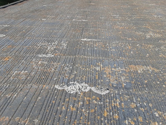 コロニアル屋根にコケが多く