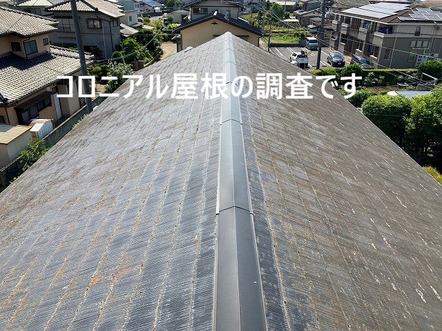 コロニアル屋根の調査