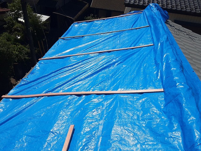 ブルーシートを半貫で抑えていく