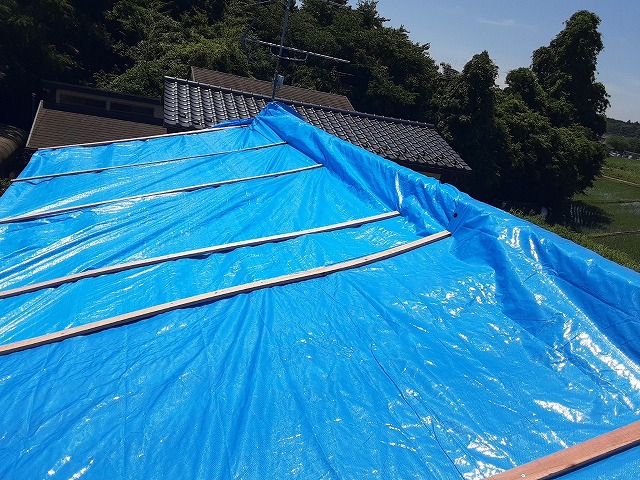 ブルーシート養生完了！