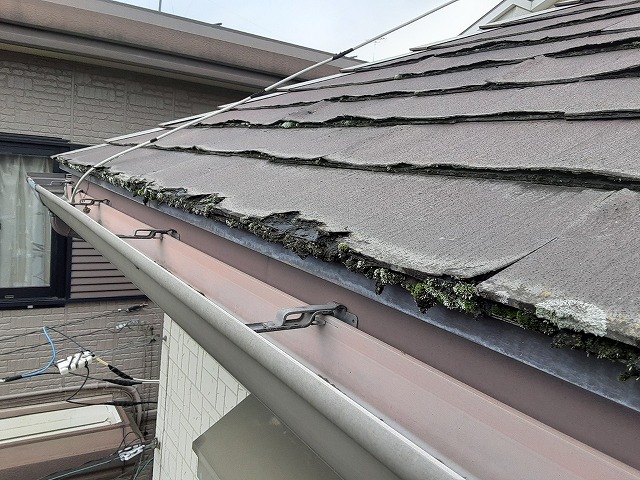 ミルフィーユ状にはがれるパミール