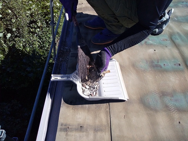 雨樋に溜まったゴミ掃除