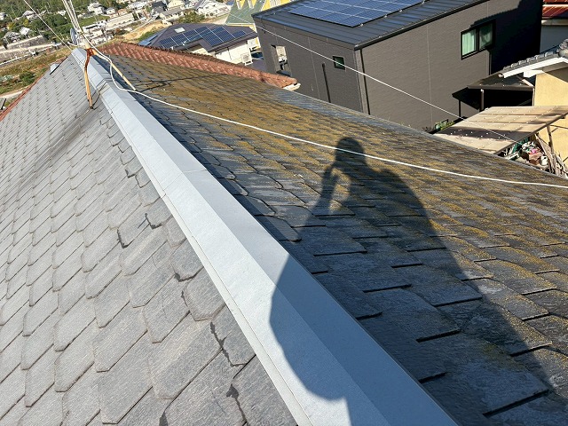 屋根の苔に注意