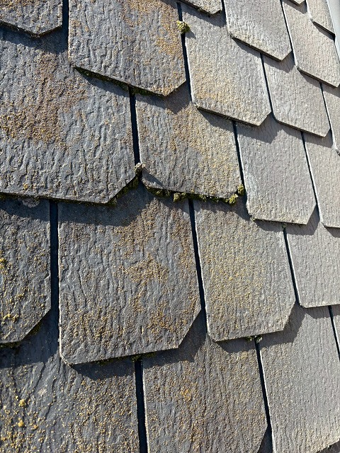 屋根メンテナンス承ってます