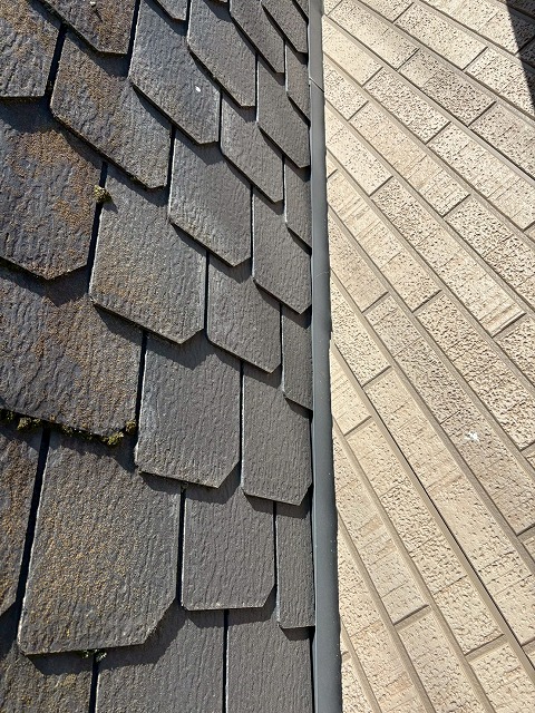 定期点検で苔対策