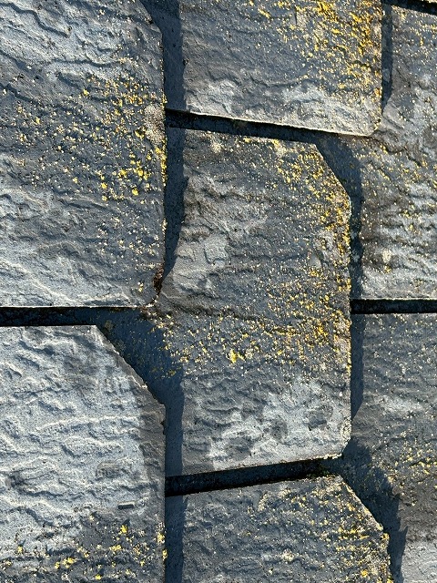 苔が生じた屋根の様子