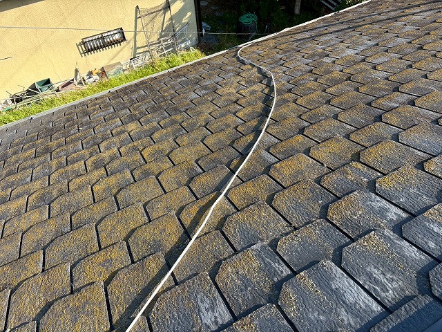 立地上苔が生じやすい