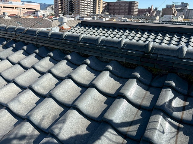 雨漏りが生じた屋根の確認