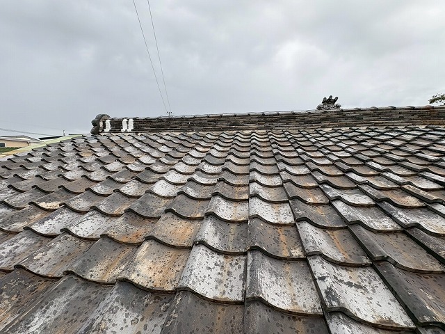 葺き替えも弊社におまかせ